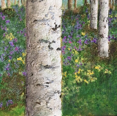 Birch in the Forest